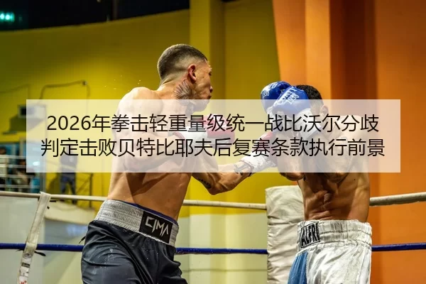 2026年拳击轻重量级统一战比沃尔分歧判定击败贝特比耶夫后复赛条款执行前景