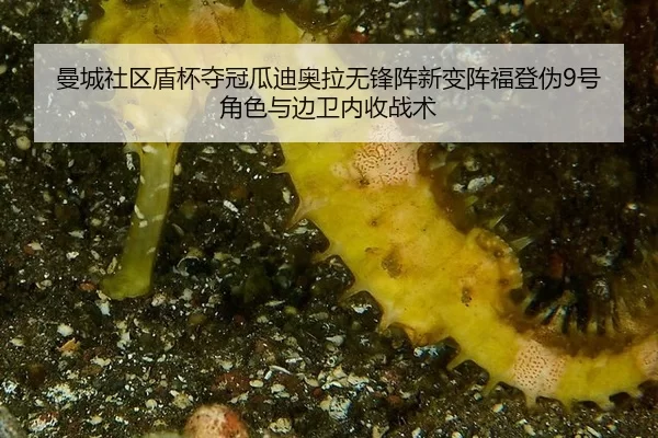 曼城社区盾杯夺冠瓜迪奥拉无锋阵新变阵福登伪9号角色与边卫内收战术
